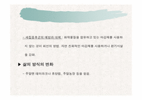웰빙에 대해서 레포트-13