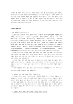 간질에 대해 조사-10