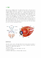 시각장애인의 재활상담 및 지도-1