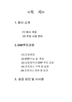 [경영학원론] 대웅제약의 ERP 성공요인분석-2
