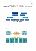 [경영학원론] 대웅제약의 ERP 성공요인분석-12