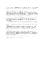 [경영학원론] 델컴퓨터에 대해서-13