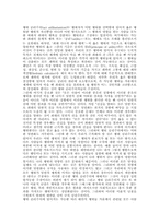 [행정철학] 공리주의적 사회정의-9