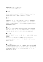 [의학] 진드기매개성질환-4