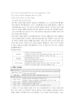 [마케팅]TTL의 브랜드 마케팅전략의 문제점과 해결방안-6