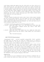 동물의 분류 레포트-2