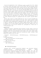 동물의 분류 레포트-4