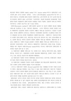 [사회복지] 노인의 행동 특징 분석을 통한 실번산업 정책 추진-6