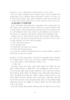 [사회복지] 노인의 행동 특징 분석을 통한 실번산업 정책 추진-8