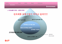 [마케팅전략]하이마트의 마케팅환경과 성공을 위한 경영전략 분석-10