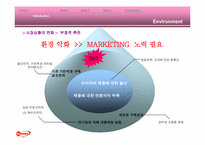 [마케팅전략]하이마트의 마케팅환경과 성공을 위한 경영전략 분석-11