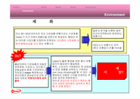 [마케팅전략]하이마트의 마케팅환경과 성공을 위한 경영전략 분석-13
