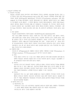 [교육학] 프로이트와 에릭슨의 성격발달이론-2
