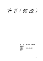 [대중문화] 한류열풍-1