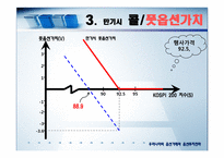 우리나라의 옵션거래와 옵션투자전략[ppt]-14