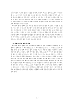 [정책학원론] 비정규직법 정책 사례 분석-16