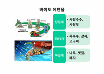 [화학공학] 해조류를 이용한 CO2 흡수와 바이오 에탄올 생산-7