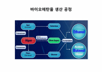 [화학공학] 해조류를 이용한 CO2 흡수와 바이오 에탄올 생산-11