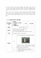 [보육과정] 영유아 성역할 보육프로그램 -보육과정의 6개 하위영역-5