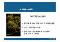 [목재] 버드나무-6