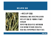 [목재] 버드나무-14