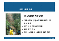 [목재] 버드나무-20