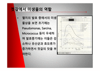 [미생물] 젓갈 레포트-6