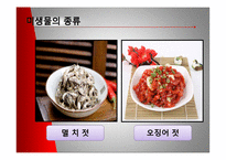 [미생물] 젓갈 레포트-7