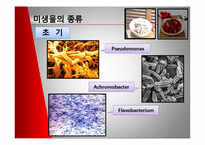 [미생물] 젓갈 레포트-9