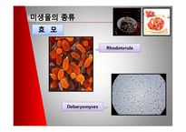 [미생물] 젓갈 레포트-14