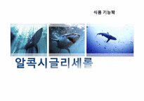 [기능성 식품학] 알콕시글리세롤-1