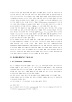 [EU][EC]유럽의 통합과 확대, 유럽공동체(EC)와 유럽연합(EU)의 명칭, 유럽공동체(EC)의 구성과 조직, 유럽연합(EU)의 역사, 유럽연합(EU)의 형성과정, 유럽연합(EU)의 문제점 및 유럽연합(EU) 관련 제언 분석-8