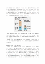 [경제학] 피겨 퀸 김연아 선수의 경제적 영향력-4