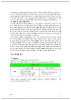 [국제경영론] IKEA 이케아 현지화전략-6