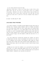 [경영정보] 르노 그룹의 DSS 도입-13