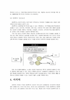 [경제학원론] FTA와 경제특구-14