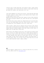 [다국적기업론] ncsoft 엔씨소프트의 해외진출-9