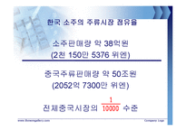 [국제경영] 진로J(제이) 중국진출 전략-9