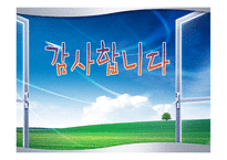 LG 디스플레이 국제화 시대의 인적자원관리-14