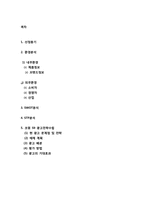 [광고마케팅 전략] MP3 코원(COWON) S9 광고전략-2