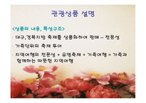 [투어컨설팅] 경북지방 축제투어-8