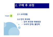 [소비자행동론] MP3 구매 의사결정과정-8