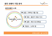 [국제경영] 웅진코웨이 인도시장 진출 전략-4