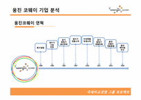 [국제경영] 웅진코웨이 인도시장 진출 전략-5