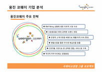 [국제경영] 웅진코웨이 인도시장 진출 전략-6