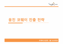 [국제경영] 웅진코웨이 인도시장 진출 전략-13