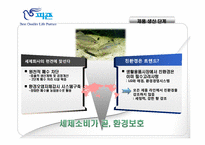 피죤의 핵심역량-13