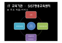 IT 분야의 산업과 주요활동-20