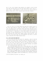 쇼, 오락 프로그램 속 방송자막의 변화와 발전방향-3