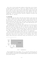 차상위계층 지원정책 -참여정부의 복지정책을 중심으로-4
